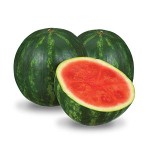 403421_SeedlessMini_Watermelon20230720.jpg