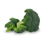 404060-Broccoli20230720.jpg