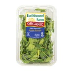 448042_Earthbound_Farm_Organic_Baby_Spinach_454g20230720.jpg