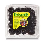 449167_Driscolls_Blackberries_170g20230720.jpg